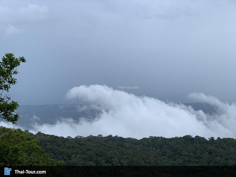 ภาพวิวด้านบนเห็นทะเลหมอก
