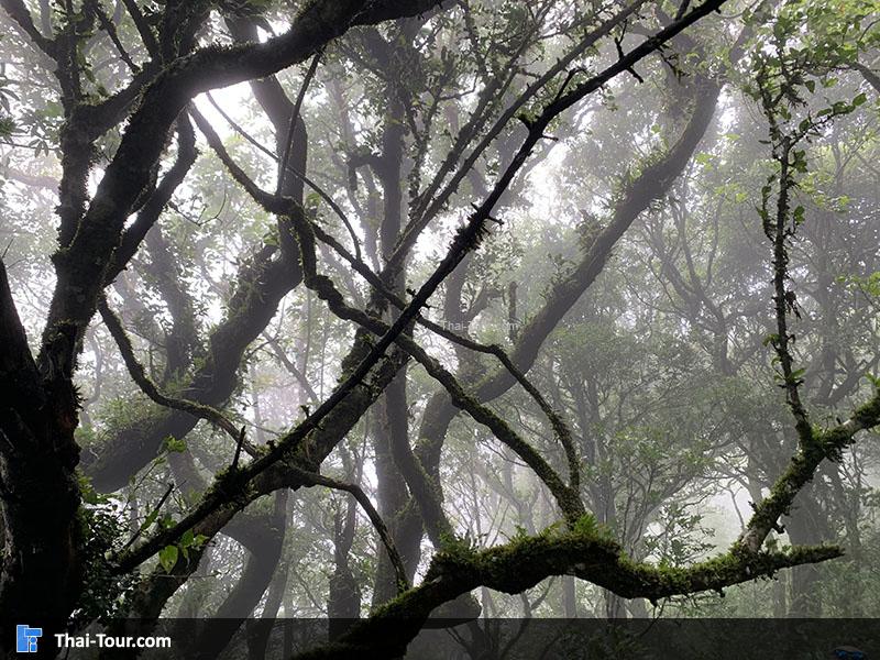 วิวไปประตูกาลเวลา