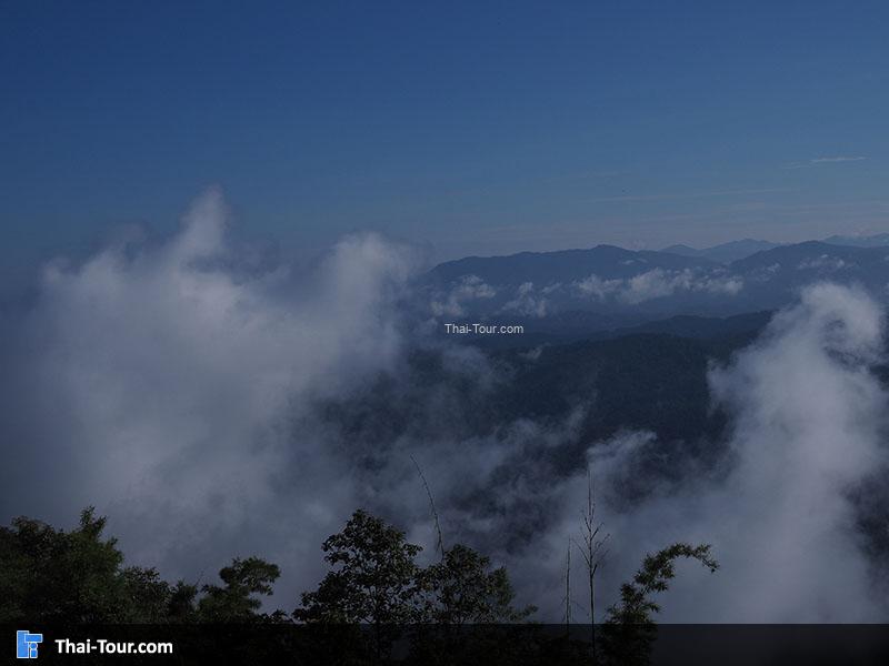 ทะเลหมอก 