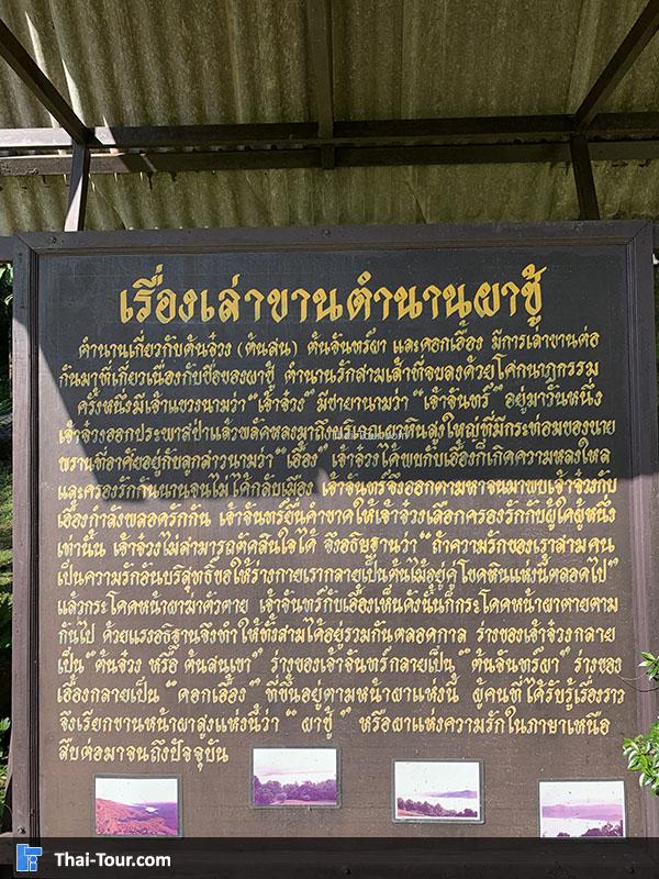 ประวัติความเป็นมา ผาชู้ 