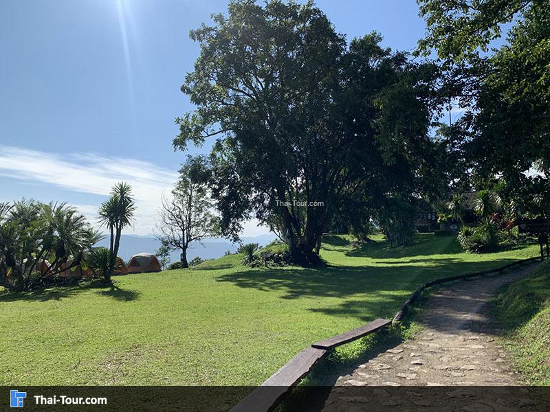 จุดกางเต้นท์ อุทยานแห่งชาติศรีน่าน