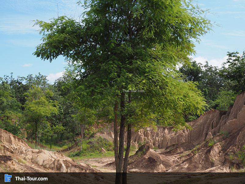 เสาดินน้อย