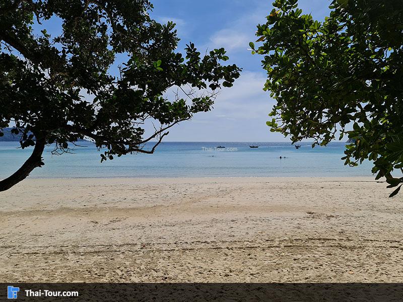 ชายหาด หาดกะตะ