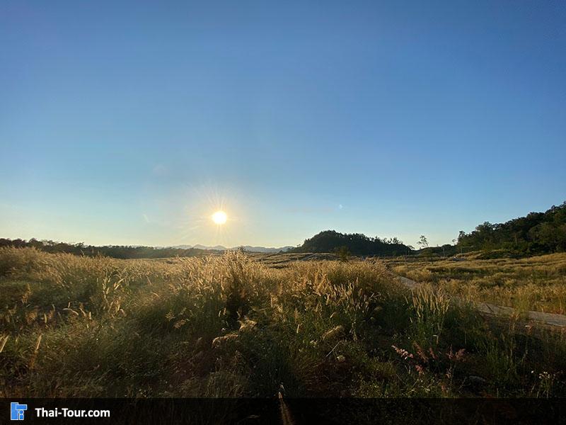 บรรยากาศรอบข้างทาง