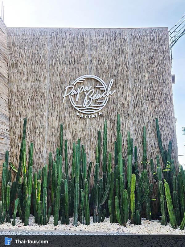 ปาป้าบีชพัทยา