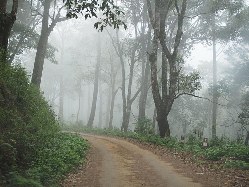 ดอยผ้าห่มปก