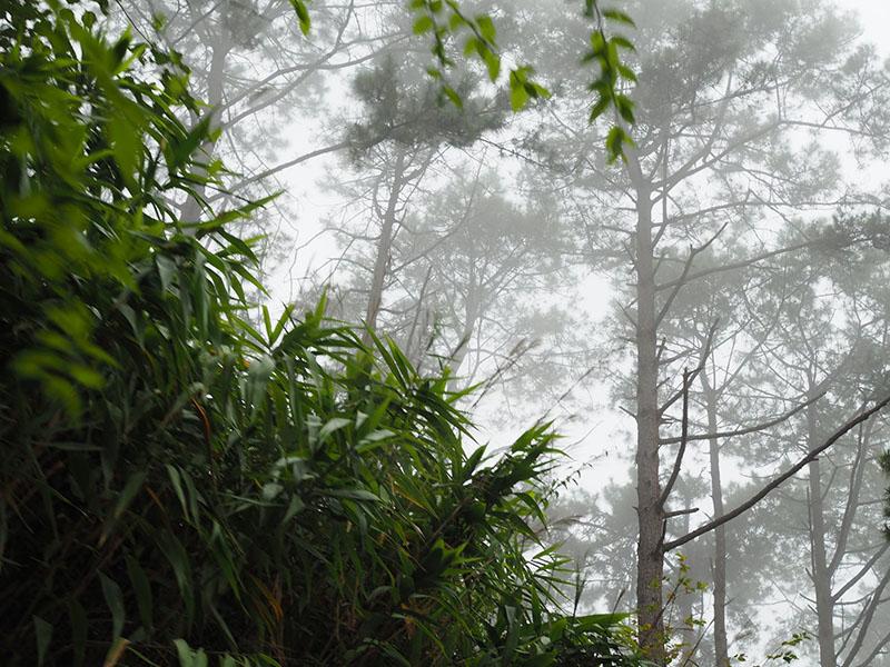 ดอยผ้าห่มปก