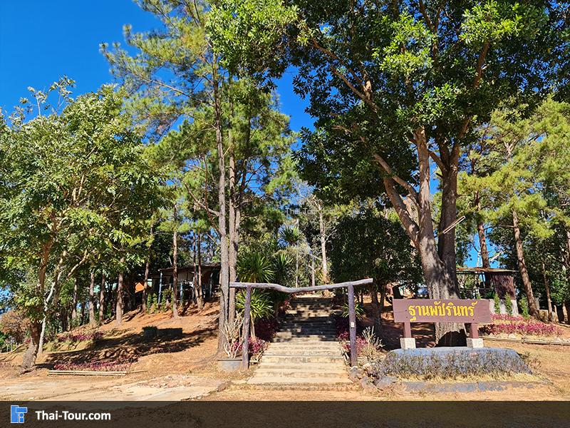 อุทยานแห่งชาติภูหินร่องกล้า