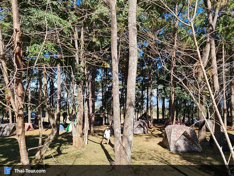 อุทยานแห่งชาติภูหินร่องกล้า