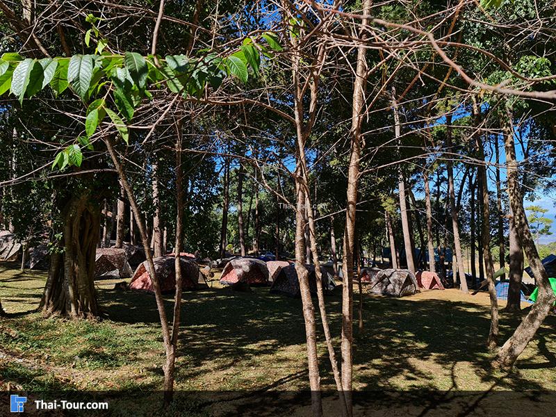 จุดกางเต้นท์ อุทยานแห่งชาติภูหินร่องกล้า