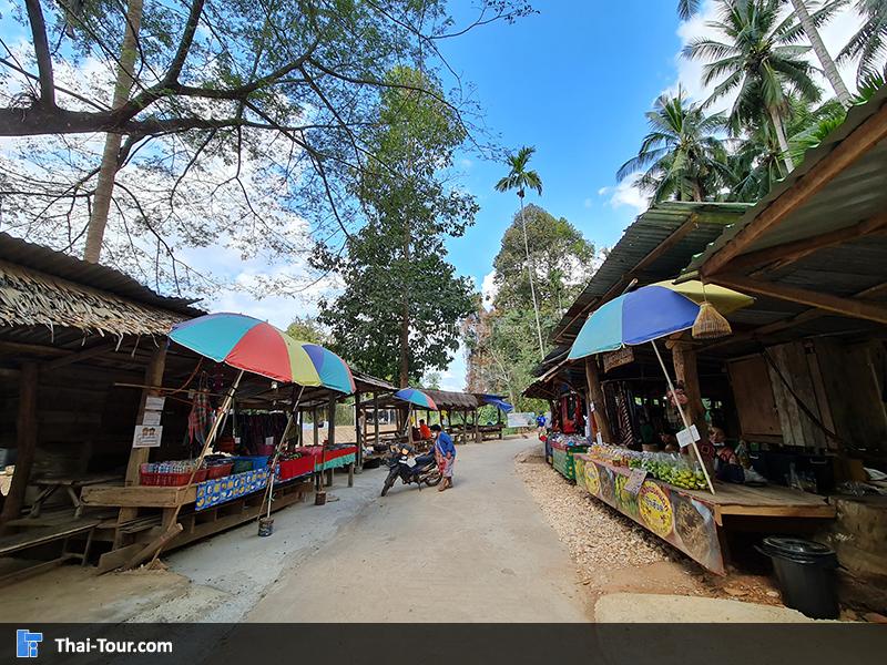 ร้านขายของ ต้นไม้ยักษ์ บ้านสะนำ