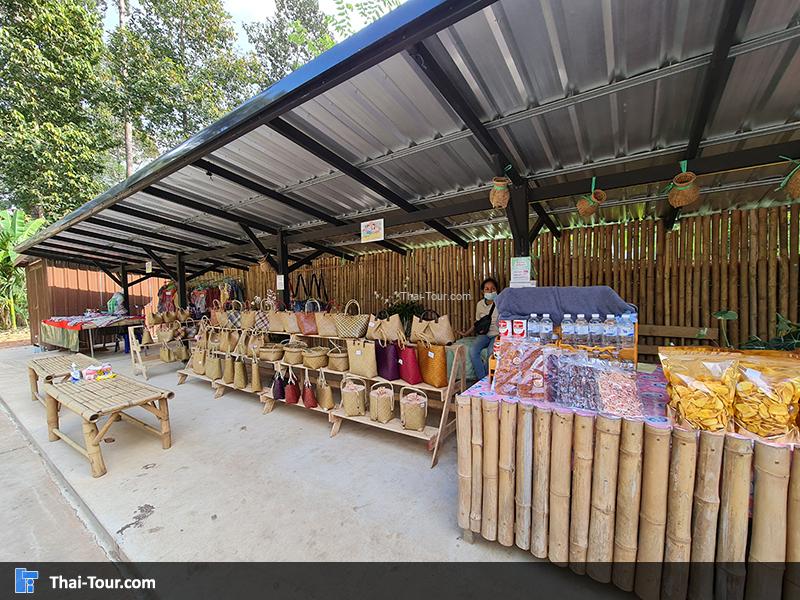 ร้านขายของ ต้นไม้ยักษ์ บ้านสะนำ