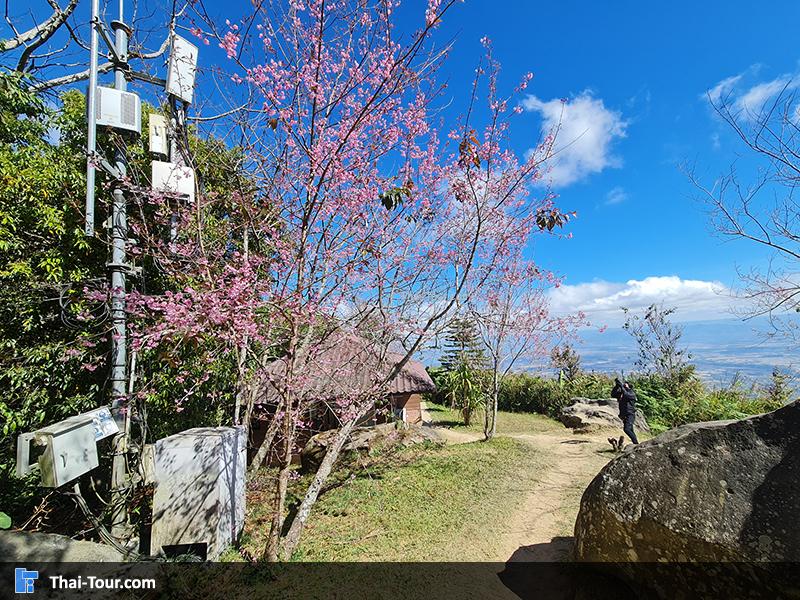 จุดชมวิว หน่วยทับเบิก 