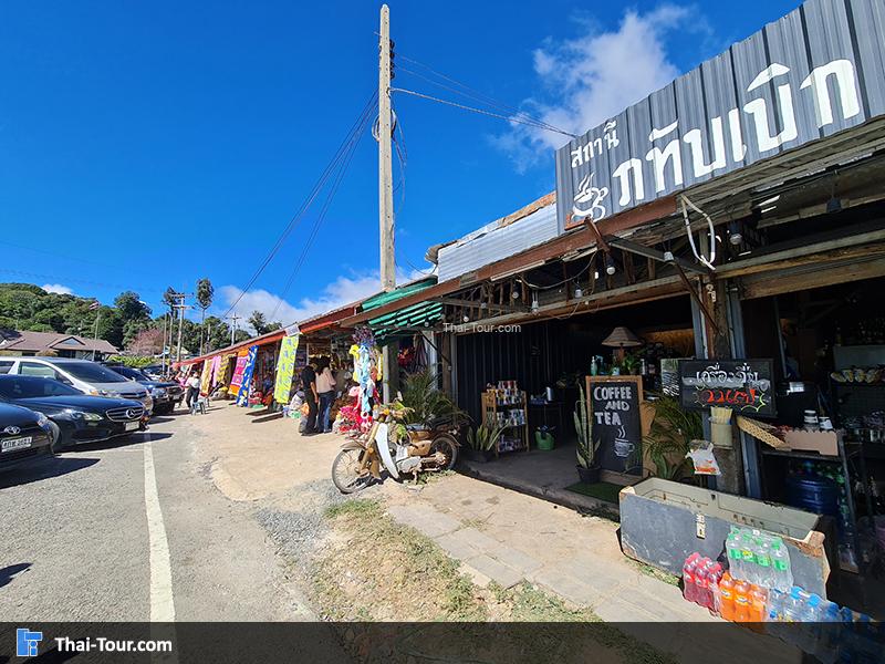 ดอกพญาเสือโคร่ง