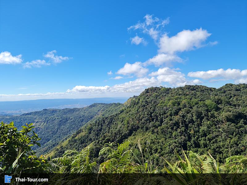 จุดชมวิวภูแผงม้า