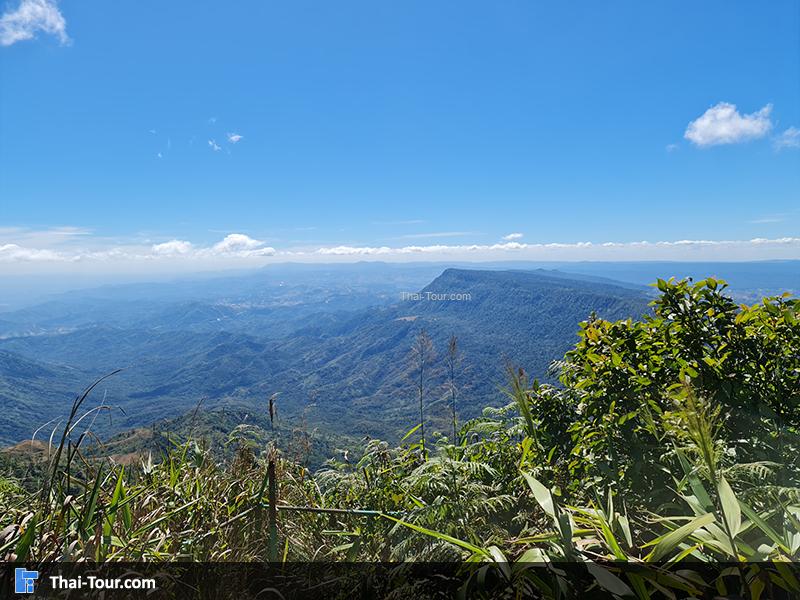 จุดชมวิวภูแผงม้า