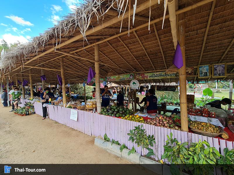 ตลาดซาวไฮ่