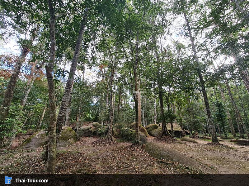 โรงเรียนการเมืองการทหาร