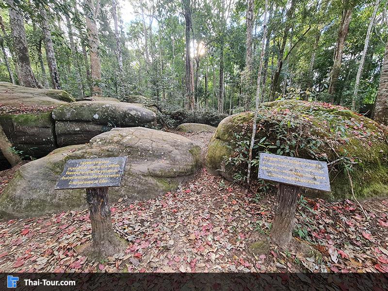 โรงเรียนการเมืองการทหาร