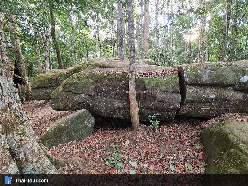 โรงเรียนการเมืองการทหาร