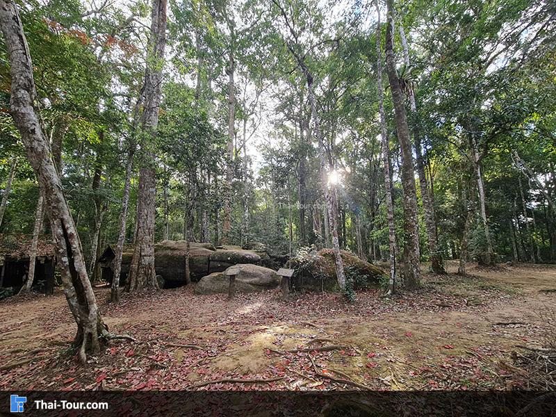 โรงเรียนการเมืองการทหาร