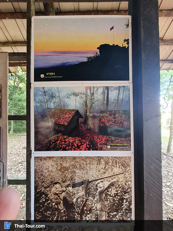 เรื่องราว โรงเรียนการเมืองการทหาร