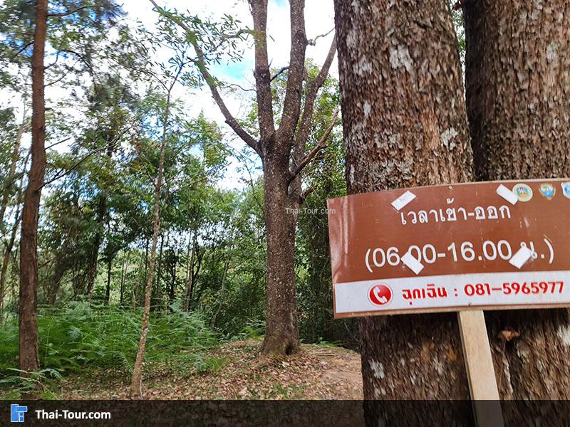 น้ำตกร่มเกล้า-ภราดร