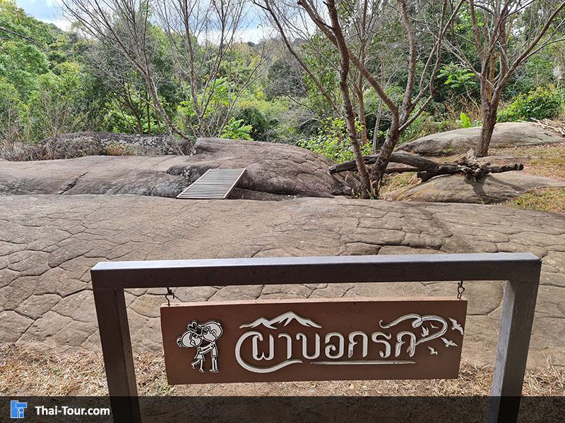 จุดชมวิว