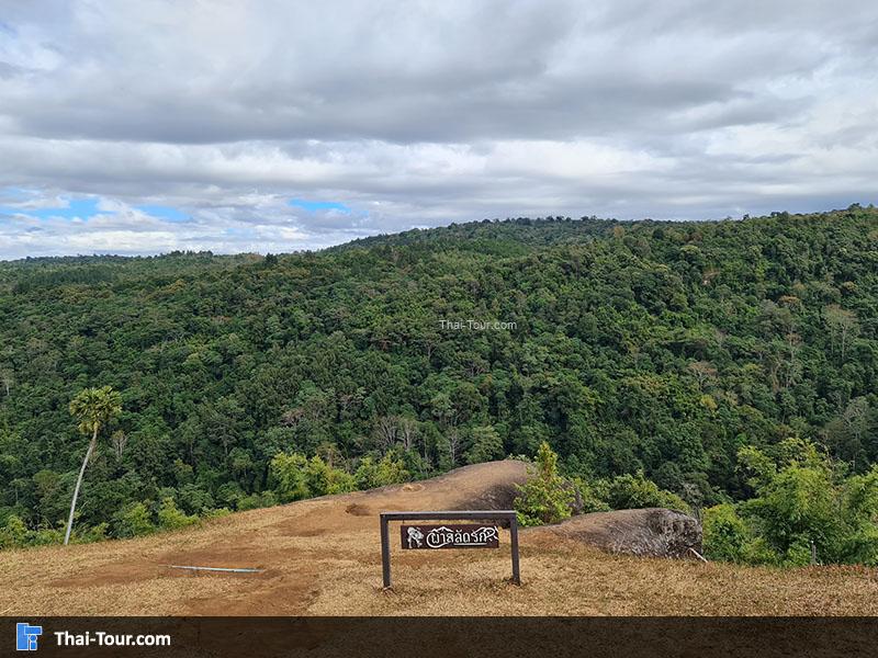 จุดชมวิว