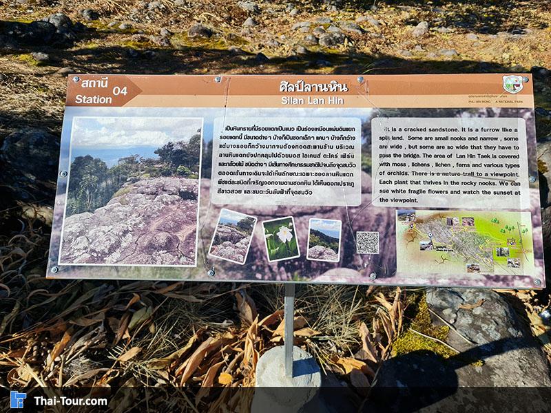 ประวัติความเป็นมา