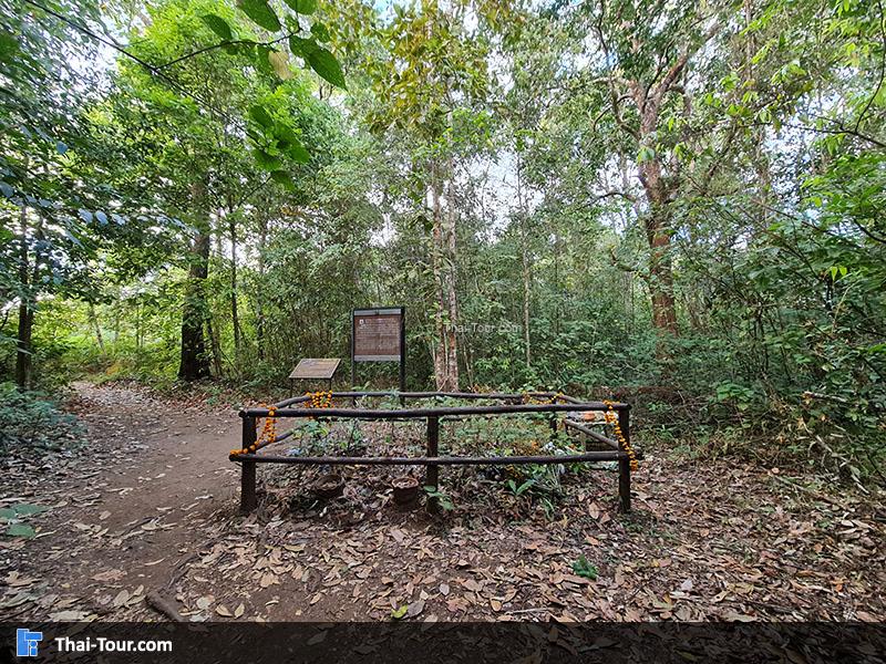 ทางเดินไปลานหินปุ่ม