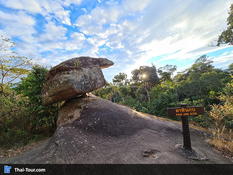 ลานหินปุ่ม