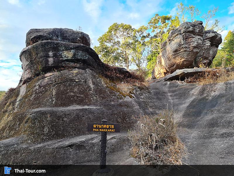 ลานหินปุ่ม