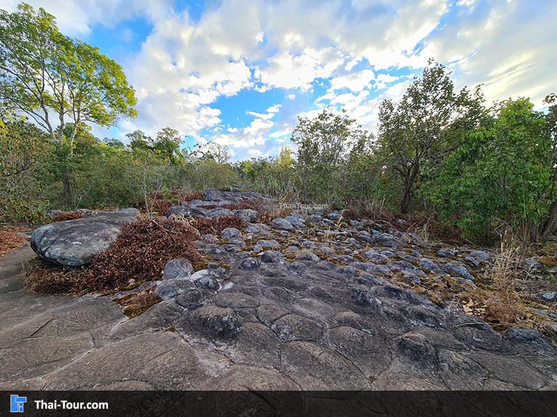 ลานหินปุ่ม