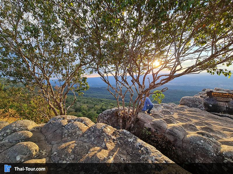 จุดขมวิว ลานหินปุ่ม