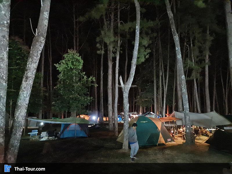 ลานกางเต้นท์ ตอนกลางคืน