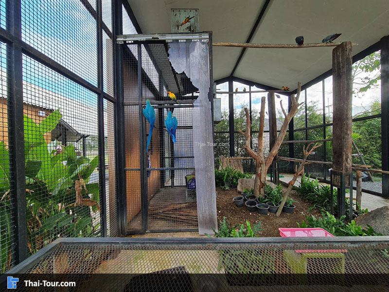 ดูบัวคาเฟ่