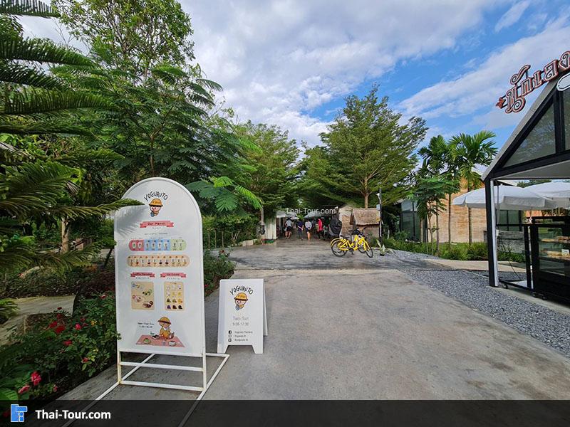 ดูบัวคาเฟ่