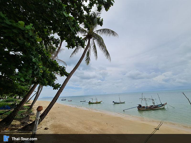 หาดบางปอ