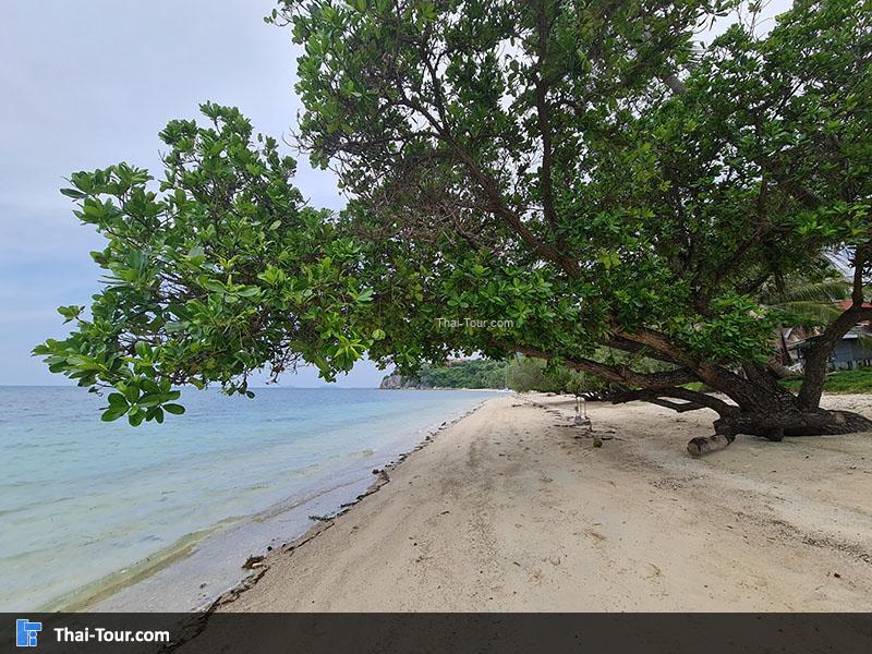 ภาพมุมสูง หาดศรีกันตัง