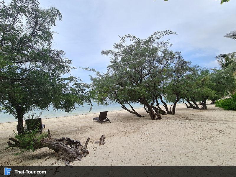 ภาพมุมสูง หาดศรีกันตัง