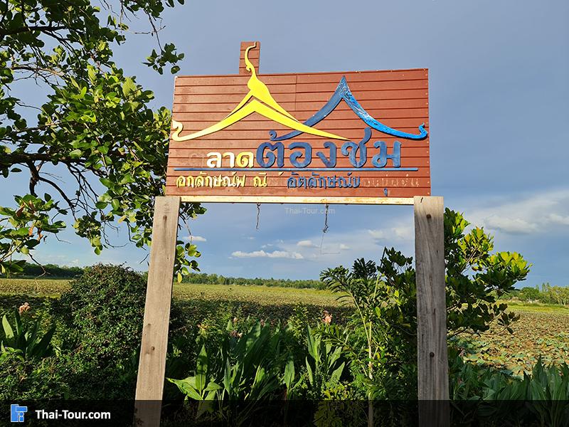 สะพานไม้แกดำ