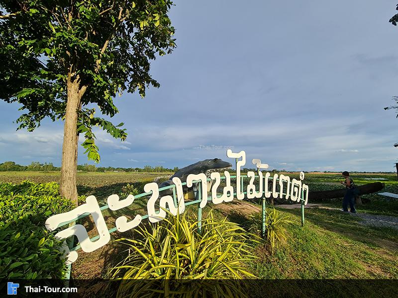 สะพานไม้แกดำ