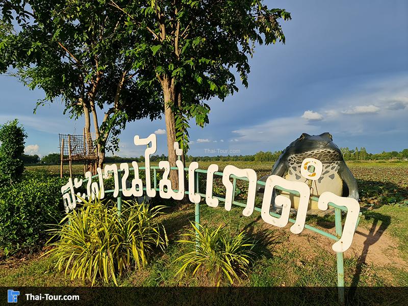 สะพานไม้แกดำ