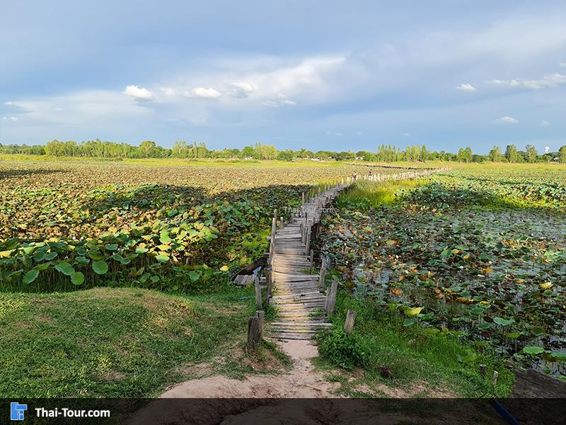 สะพานไม้แกดำ