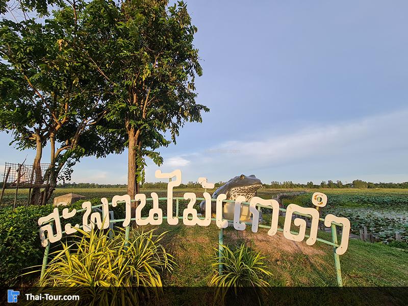 สะพานไม้แกดำ