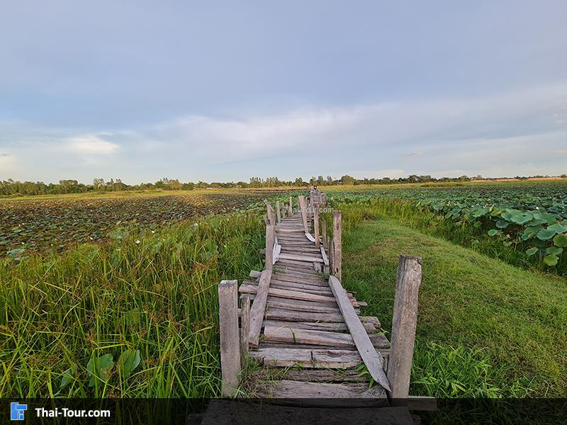 สะพานไม้แกดำ