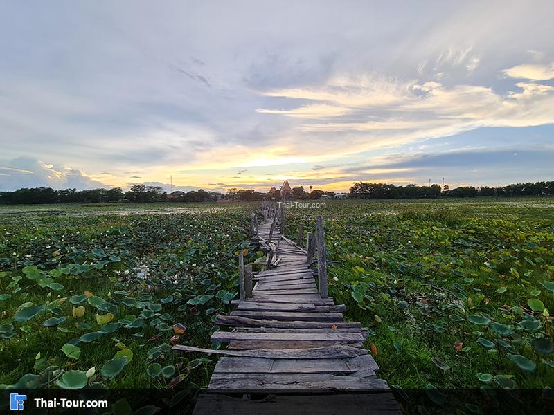 สะพานไม้แกดำ