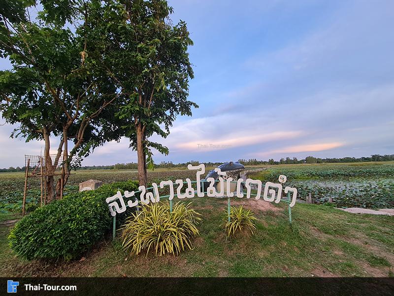 สะพานไม้แกดำ