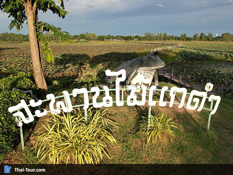 สะพานไม้แกดำ